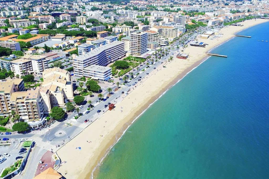 Port-Frejus, Le Paladien, Appartement 2 Pieces Climatise, Terrasse & Parking Ngoại thất bức ảnh