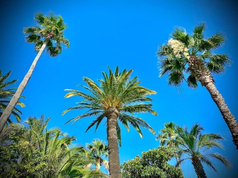Port-Frejus, Le Paladien, Appartement 2 Pieces Climatise, Terrasse & Parking Ngoại thất bức ảnh